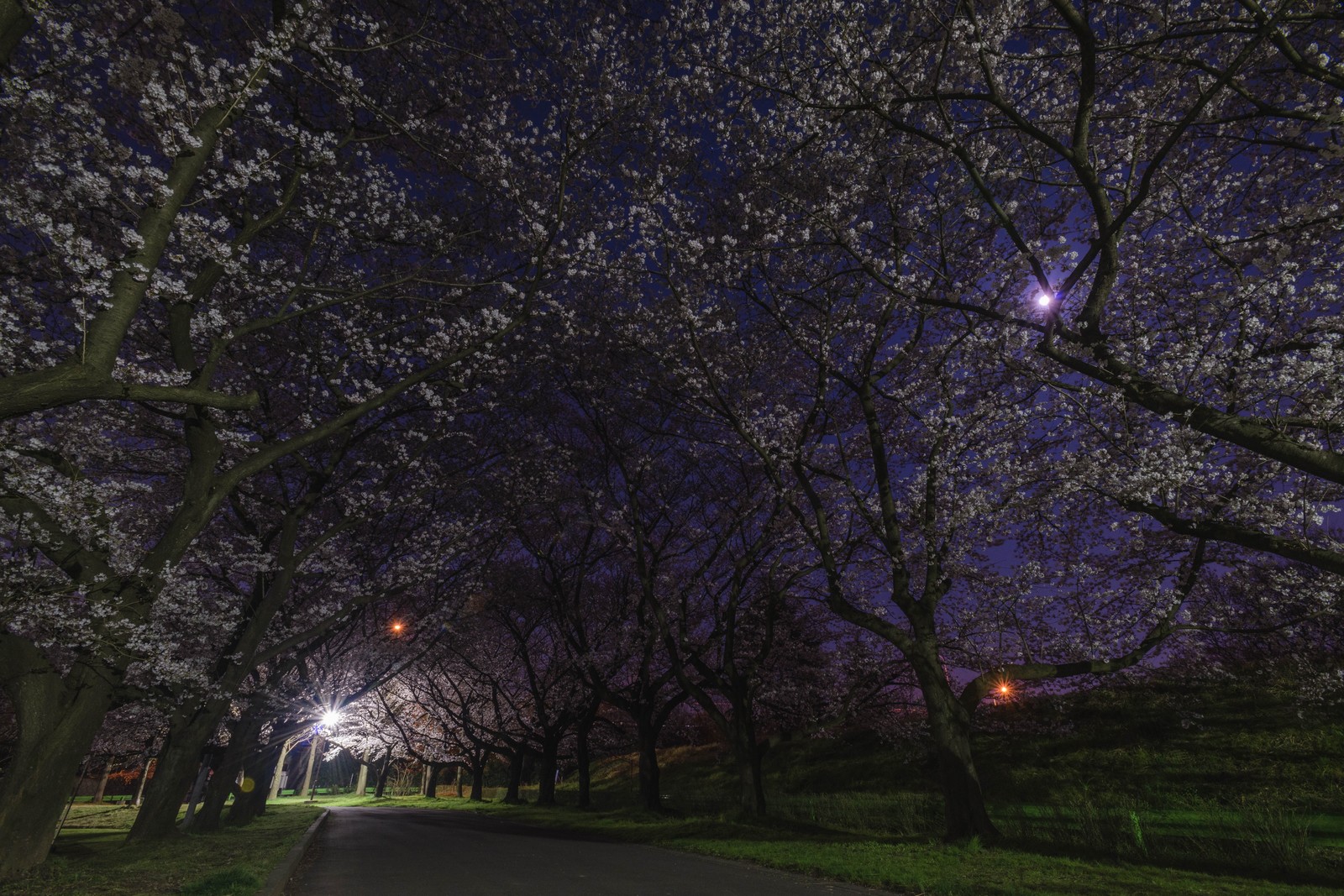 夜の公園の心霊体験